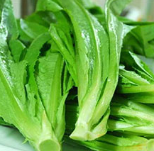 油麦菜